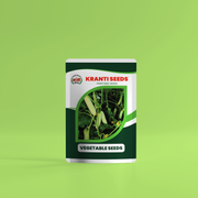 Kranti Seeds Kolapuri Cucumber | High Yield | 5g Pack | Farm & Garden Use