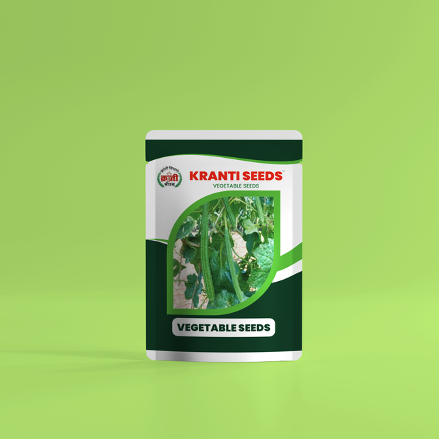 Krantiseeds Ridge Gourd Seeds | 5g Pack | 60% Germination | 98% Purity | Fast Growth | High Yield | Best for Organic & Traditional Farming