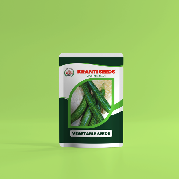 Kranti Seeds | Desi Cucumber Seeds | Green Long Variety | 98% Purity | 5g Pack | Reliable Growth | Home Garden & Commercial Farming | Truthful Label